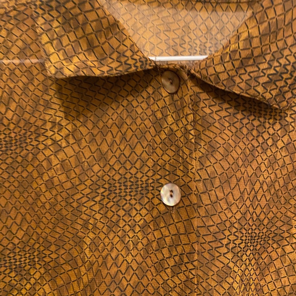 Sheer Snake print blouse